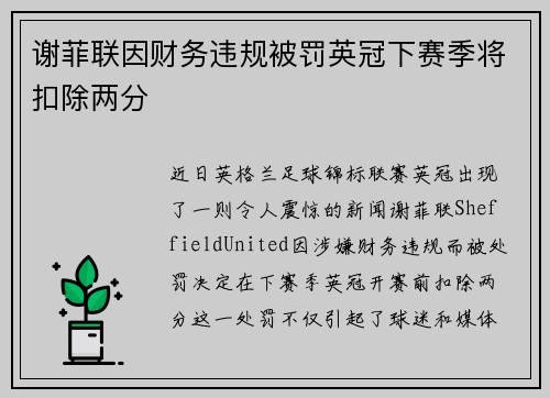谢菲联因财务违规被罚英冠下赛季将扣除两分